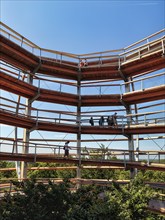 Treetop path with tourists and copper beech (Fagus sylvatica), Naturerbe Zentrum Rügen, Prora,