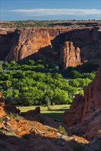 Rock formation in Chelly Canyon National Park, Arizona, USA, North America