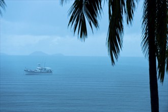 Tropical rain, tropical rain, rainy season, palm, storm, weather, sea, boat, calm, climate,