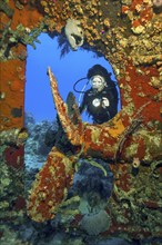 Diver Sports diver looks at viewed illuminated by colourful sponges overgrown propeller of sunken