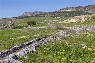 Remains, ruins in Hierapolis, in the background ruins of the ancient theatre Hieropolis, near