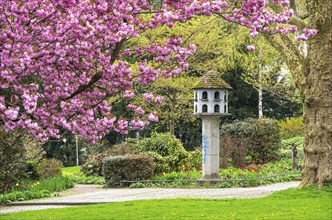 Pigeon house in spring in the city garden of Freiburg im Breisgau, Baden-Württemberg, Germany,