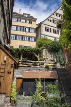 Old town houses with allotment gardens in Bursagasse, Tübingen, Baden-Württemberg, Germany, Europe