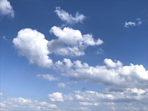 In the foreground large fleecy clouds, altocumulus clouds, altocumulus clouds, in the background