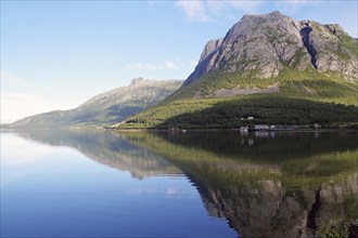 Steep mountains reflected in the sea, fjord, shore, Jektvik, Kystriksveien, FV 17, Helgeland,