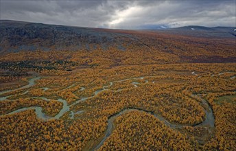 Drone shot, view of the valley Ladtjovagge with the meandering river Ladtjojakka, birch forests,