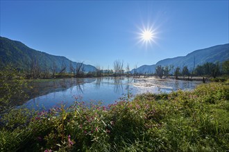 Moorland, sun, morning, summer, Bleistätter Moor, Steindorf am Ossiacher See, Lake Ossiach,