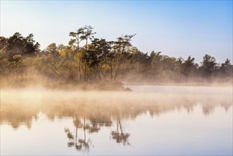 Morning mist by a forest lake in autumn with reflections in the water, Sweden, Europe