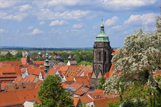 Pirna View of the old town from the Sonnenstein