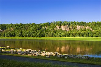 Flock of sheep in Zehren on the Elbe River