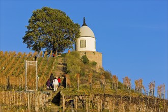 Wackerbarth Castle or Wackerbarths Ruh is a Baroque castle surrounded by vineyards in the