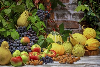 Autumnal Still Life with Blue Burgundy Grapes, Apples, Pumpkins and Hazelnuts in Front of a Brick