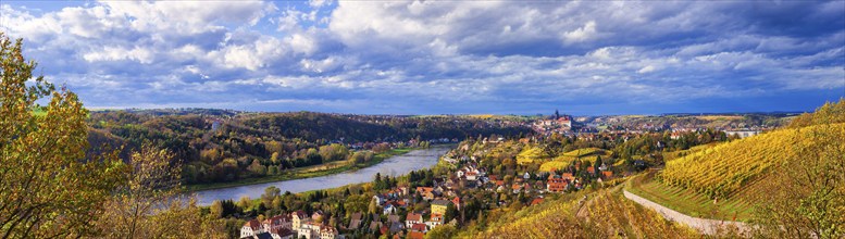 Meißener Scherenschnitt