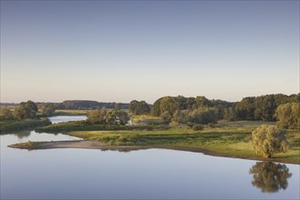 UNESCO Elbe River Landscape biosphere reserve in summer, Lower Saxony, Germany, Europe