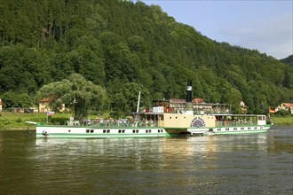 Elbe steamers in Saxon Switzerland