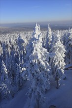 Winter landscape in the Fichtel Mountains, view from the Ochsenkopf, Bayreuth County, Upper