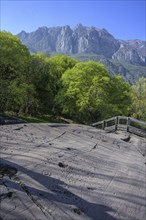 3000 year old rock carvings from Luine, Darfo Boario Terme, Province of Brescia, Italy, Europe