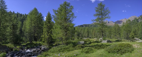 Hike from Weißbrunnsee to Fiechtalm, Ulten, South Tyrol, Italy, Europe