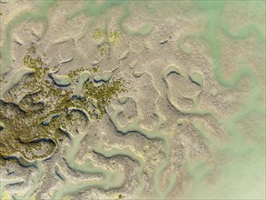 Network of channels and streams at low tide, in the marshland of the Bahía de Cádiz, aerial view,