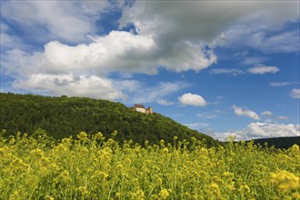 Weitenburg Castle, romantic hotel, historic building, residential castle in various architectural