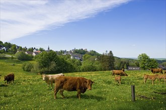 Landscape near Frauenstein