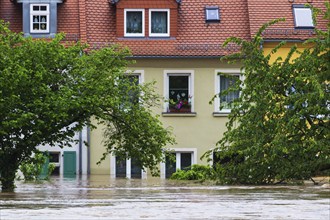 Floods in Grimma