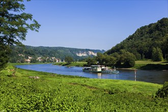 Elbe steamer Pirna in Wehlen