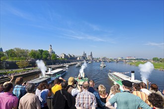 Steamboat parade on the Elbe