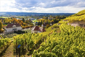 Wackerbarth Castle or Wackerbarths Ruh is a Baroque castle surrounded by vineyards in the