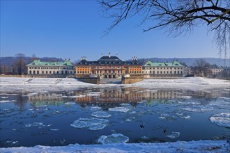 Ice drift on the Elbe in Dresden Pillnitz