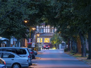 Village street with lime trees and lanterns at dusk, Schlepzig, Brandenburg, Germany, Europe