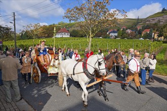 The Saxon Winegrowers' Procession 2012