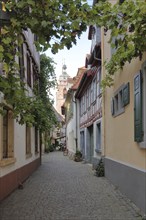 View through Metzgergasse to the collegiate church on the market square in Neustadt an der