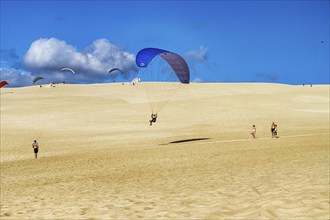 Paragliders on approach, walkers, tourists on dune, Dune du Pilat, Arcachon, Gironde, Aquitaine,