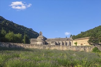 Abbey Notre-Dame de Sénanque, Sénanque Monastery, near Gordes, Provence, Provence-Alpes-Côte dAzur,