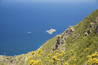 Panorama of Cabezo del Tejo, coast near Taganana, Anaga Mountains, Anaga, Tenerife, Northeast,