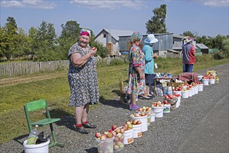 Elderly Russian women selling apples along roadside in rural Nizhny Novgorod Oblast, Russia, Europe