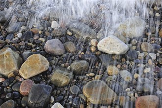 Colourful water smoothed pebbles in surf at shingle beach, Normandy, France, Europe