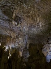 Caves of Drach, Coves del Drac, Porto Christo, Majorca, Balearic Islands, Spain, Mediterranean Sea,