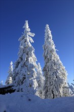 Winter landscape in the Fichtelgebirge, Bayreuth district, Upper Franconia, Bavaria, Germany,