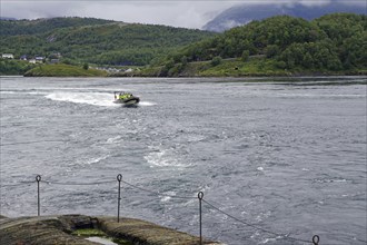 Powerboat with passengers in the tidal stream Saltstraumen, Bodø, Nordland, Norway, Europe