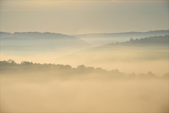 Landscape, Valley, Forest, Fog, Morning, Altertheim, Würzburg, Bavaria, Germany, Europe