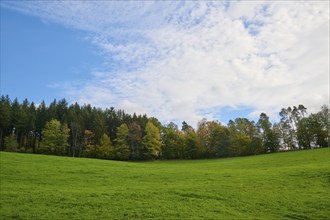 Meadow, forest, sky, clouds, autumn, Oberzent, Odenwald, Hesse, Germany, Europe