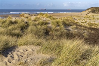 Beach of the nature reserve Het Zwin at the North Sea between Belgium and the Netherlands