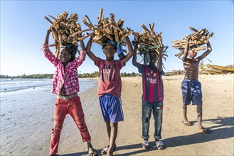 Children on the beach carrying bundles of firewood on their heads, Sanyang, Gambia, West Africa,