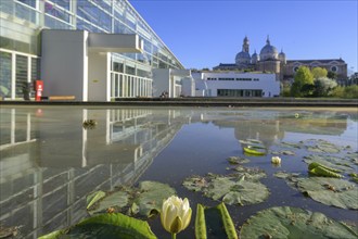 Water lilies in front of Il Giardino della Biodiversita, Padua, Province of Padua, Italy, Europe