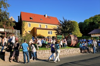 Federweißermeile in the wine village of Diesbar-Seußlitz