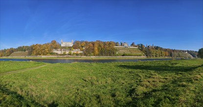 Elbe Castles