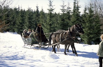 Altenberg carriage ride with the horse-drawn sleigh