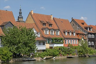 Houses, Little Venice, Regnitz, Bamberg, Upper Franconia, Bavaria, Germany, Europe